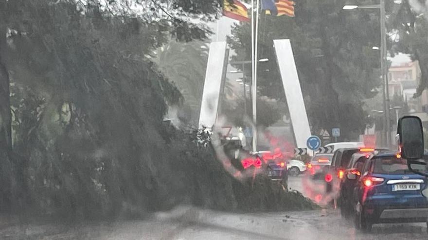 Chaos auf dem Flughafen, Kinder weggeweht, Bäume umgestürzt: Die Folgen des Unwetters auf Mallorca