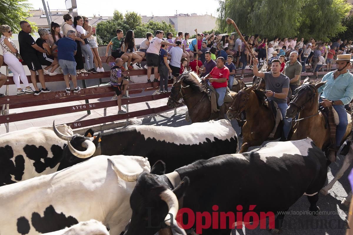 Primer encierro de las Fiestas de Moratalla