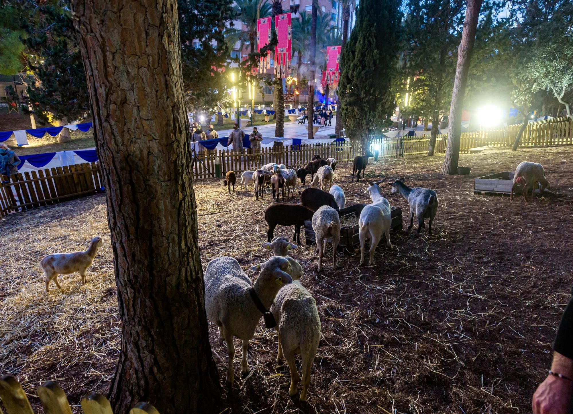 Así es el campamento de los Reyes Magos en Benidorm