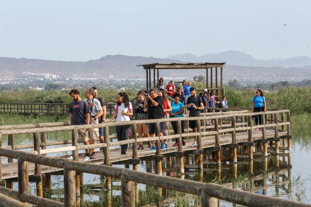 La UMH organiza una visita a El Hondo