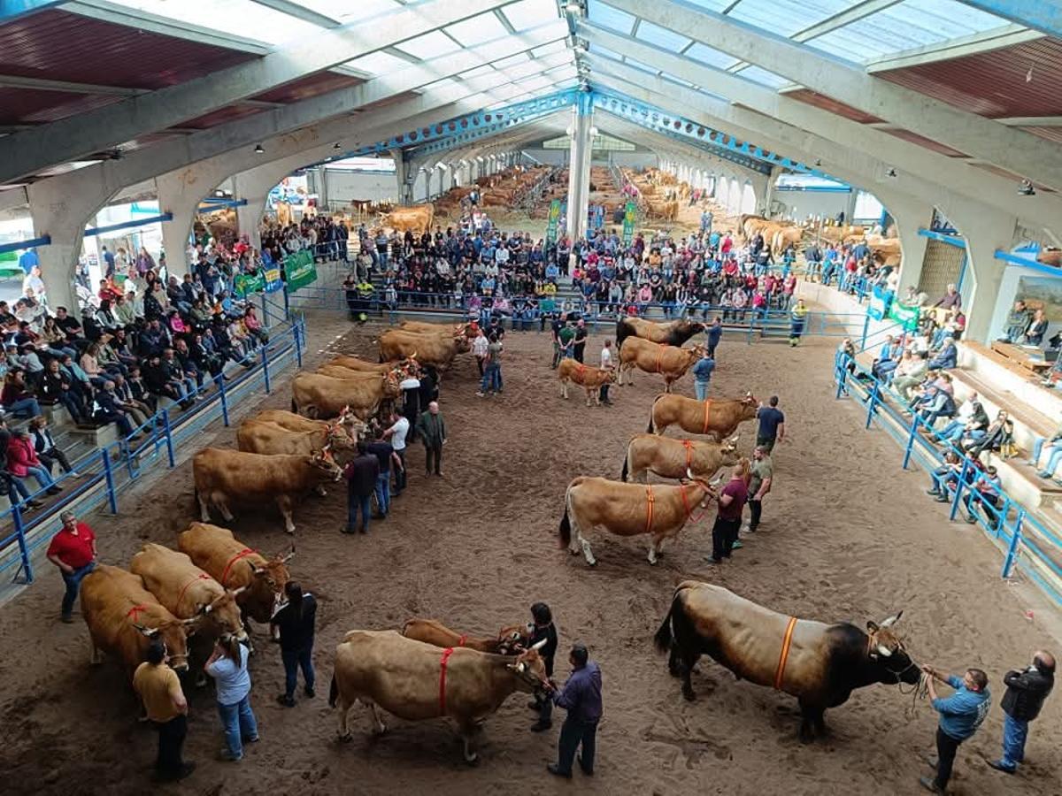 Entrega de premios del concurso el año pasado.