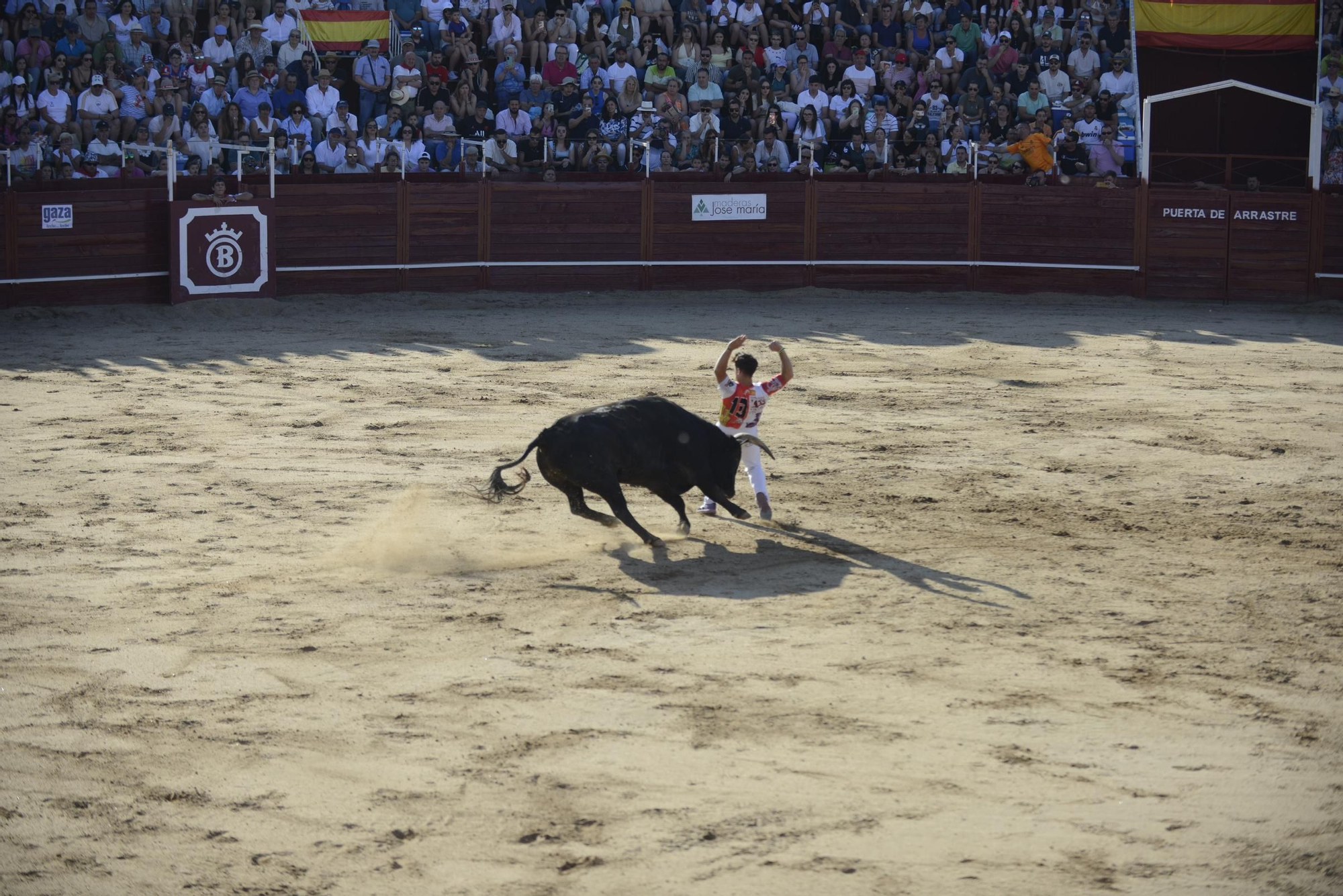 GALERÍA | Unos cuantos cortes de los arriesgados en Benavente