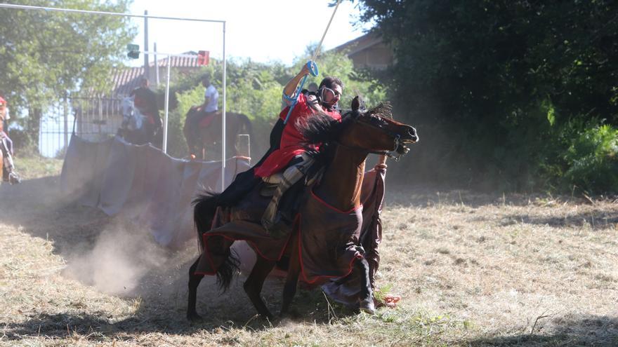 Entre justas a caballo y cetrería