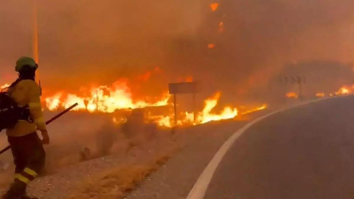 El incendio de Los Gallardos: uno de los más rápidos y complejos de los últimos años