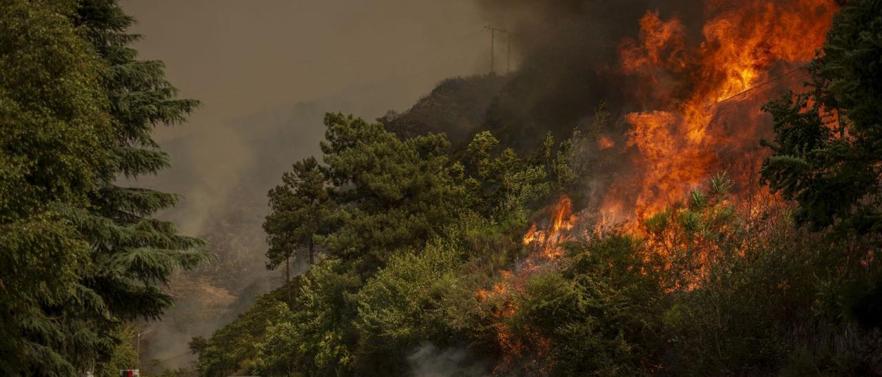 Un dos incendios rexistrados estes días na comarca de Valdeorras.