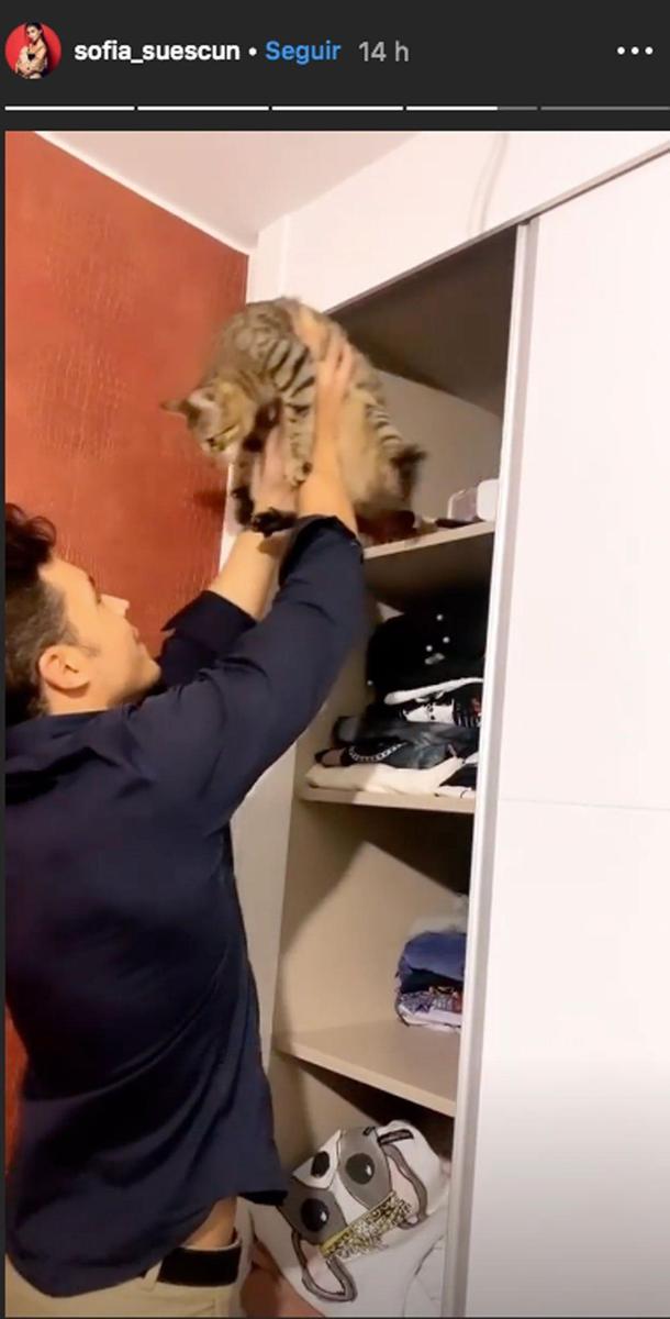 Kiko y el gato de Sofía.