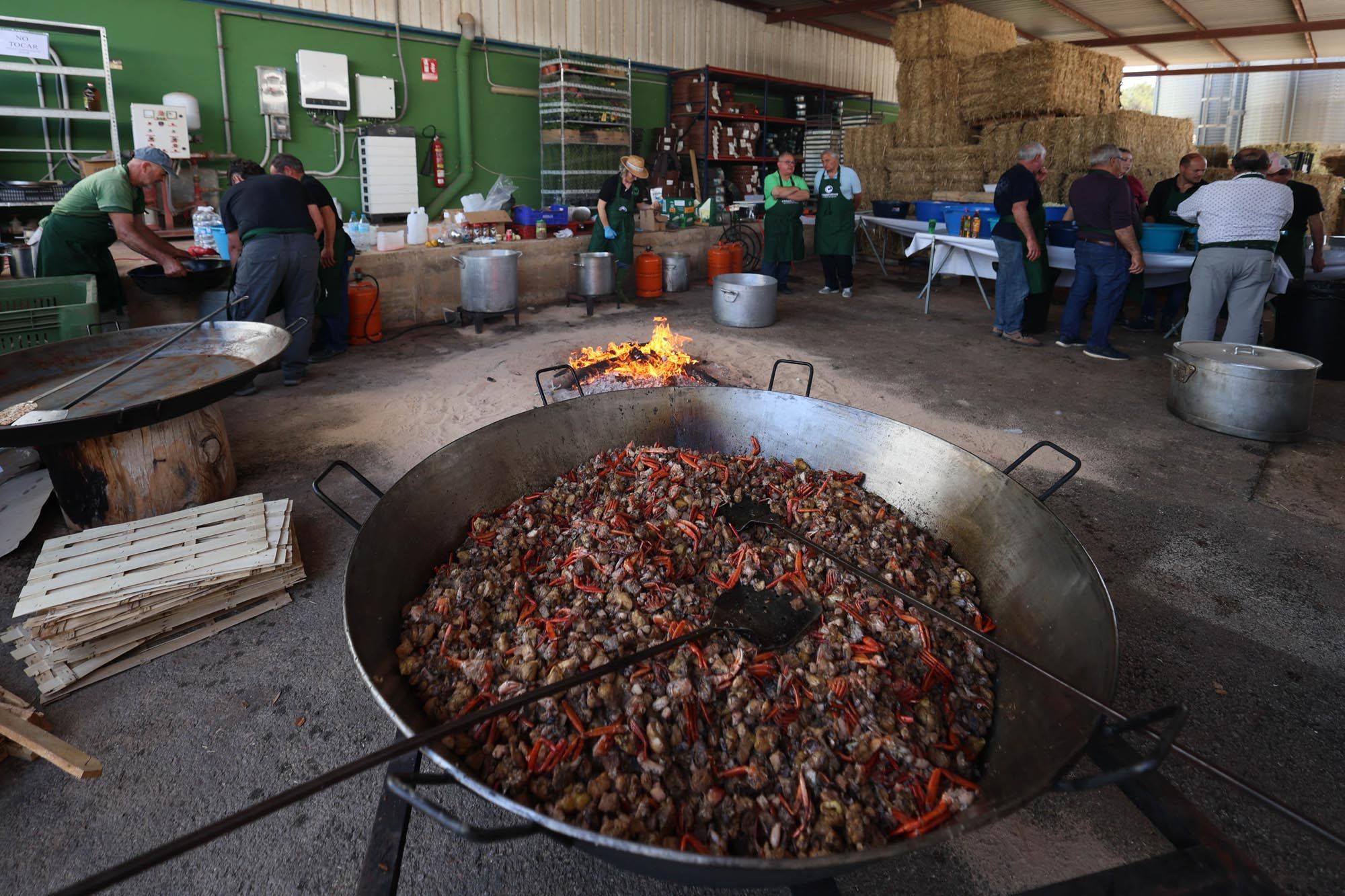 La asamblea de la Cooperativa Agrícola de Santa Eulària, en imágenes