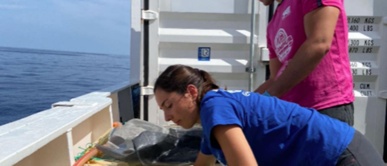 Dos investigadores del Instituto Español de Oceanografía durante una campaña científica | | E.D.