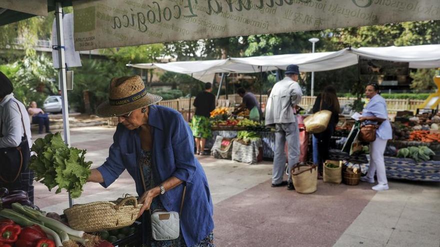 Mercado de plaza patines