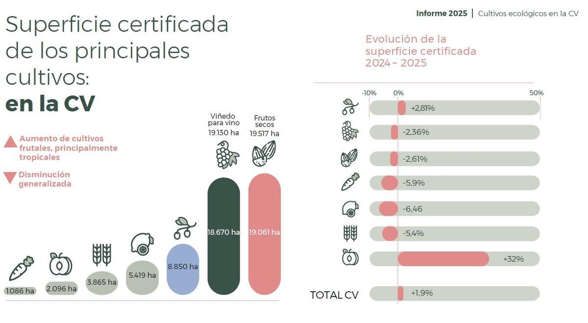 Así está la agricultura ecológica por cultivos.