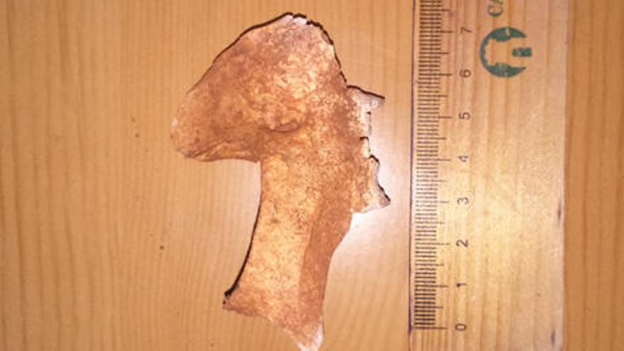 Estudian si un cráneo descubierto en Argelita pertenecía a un lince