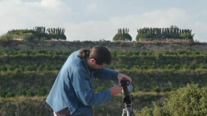 Foto de «paranys» en la provincia de Castelló.