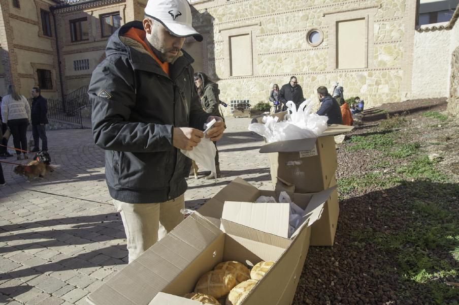 San Antón bendice a los animales en Benavente.