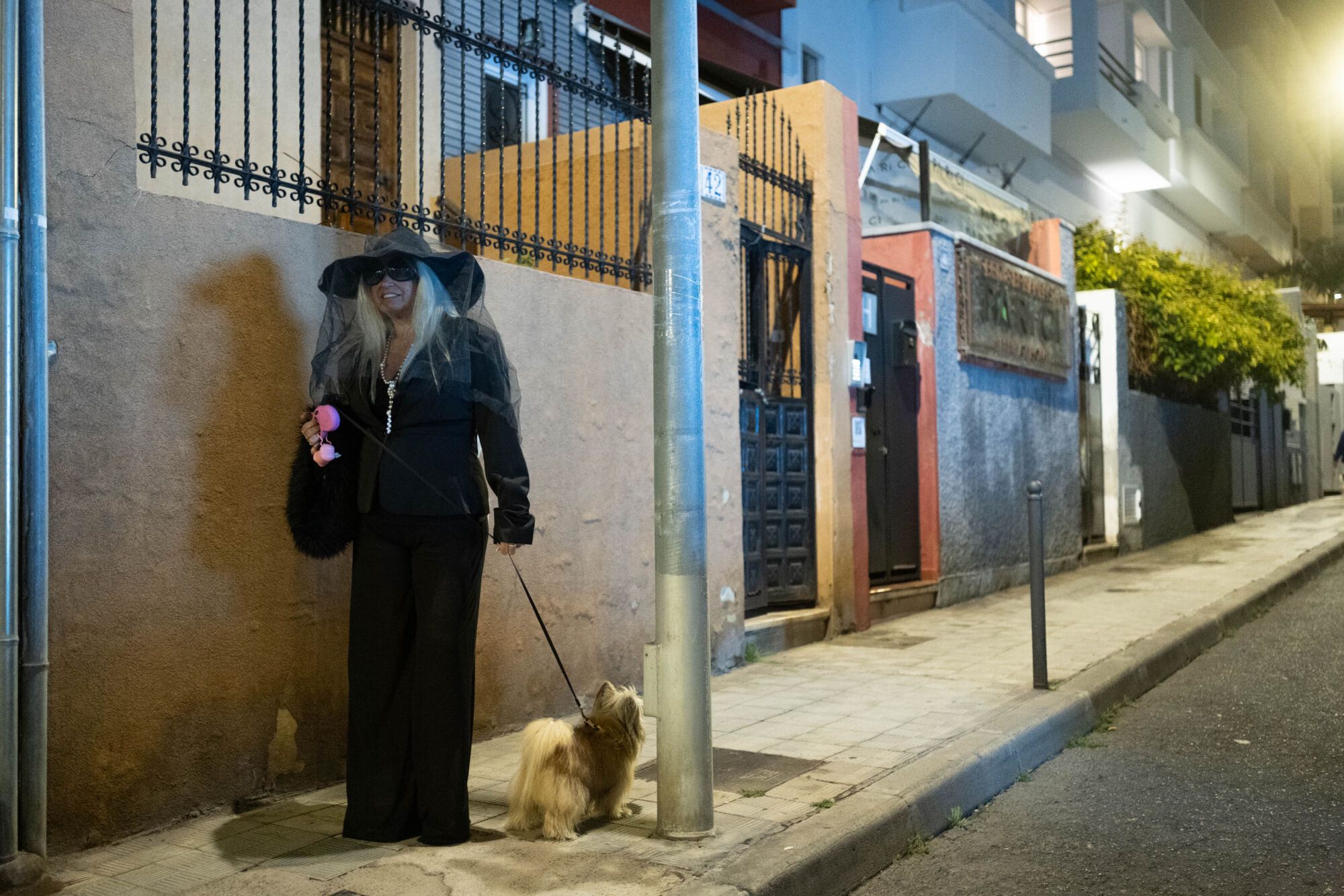 Entierro de la Sardina del Carnaval de Santa Cruz de Tenerife 2025