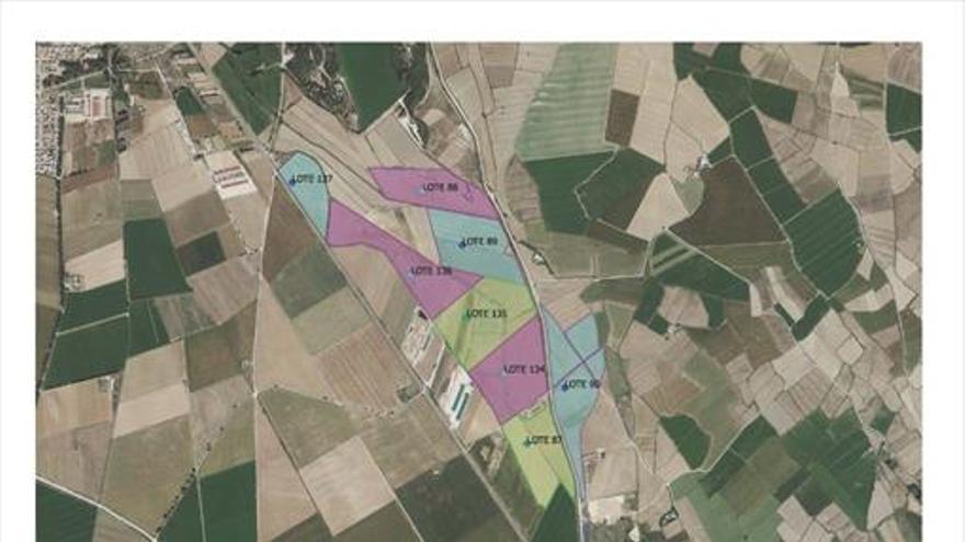 Las 164 hectáreas de los lotes del Saso ya están adjudicadas
