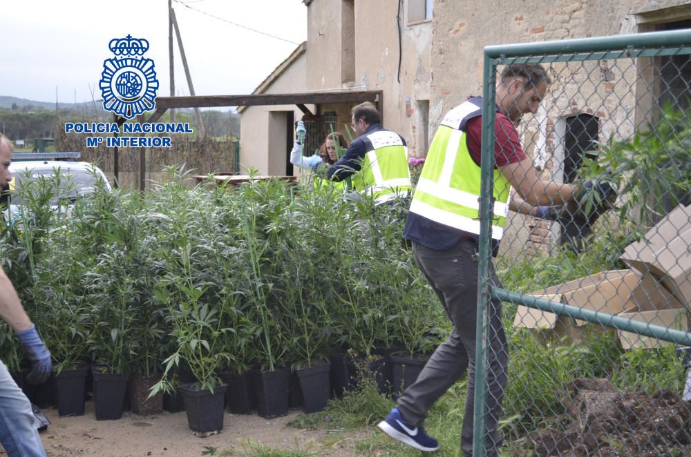 Desarticulen un grup de narcotraficants ubicat a la Costa Brava