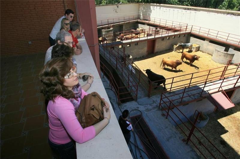 Suspendida la corrida de Feria en Los Califas