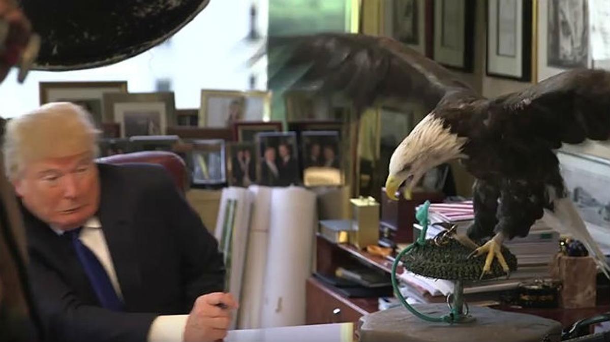 Donald Trump va posar al costat d’una àguila calba per a la revista ’Time’