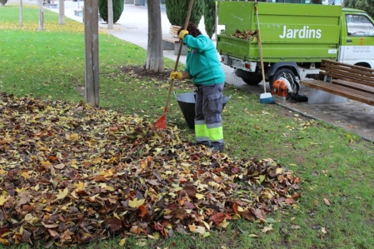 Mollet dona el tret de sortida a la campanya especial de recollida de fulles Mollet dona el tret de sortida a la campanya especial de recollida de fulles