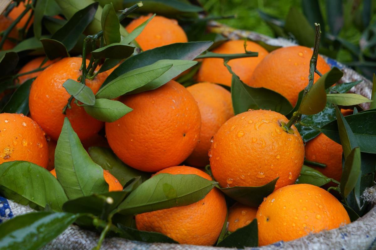 Las naranjas también son unas grandes aliadas