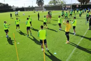 El Elche negocia adquirir suelo en el Camino de Castilla tras comprar el de la Fundación
