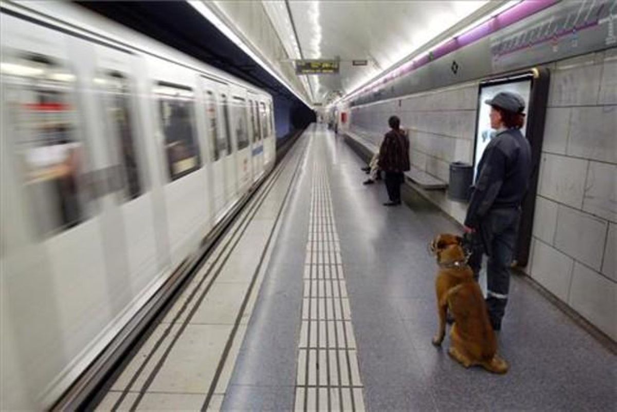 Vigilant amb un gos amb morrió al Metro de Barcelona. Vigilant amb un gos amb morrió al Metro de Barcelona.