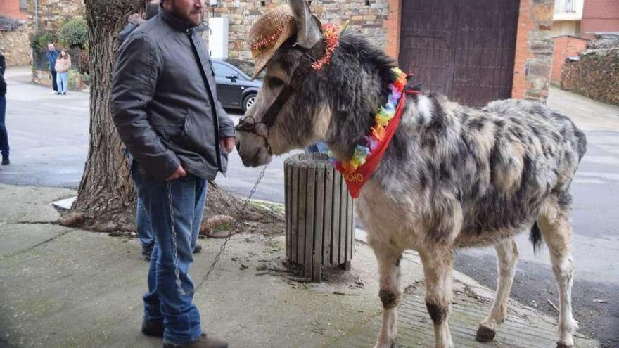 Un vecino de Abejera con un burro durante una fiesta en el pueblo.