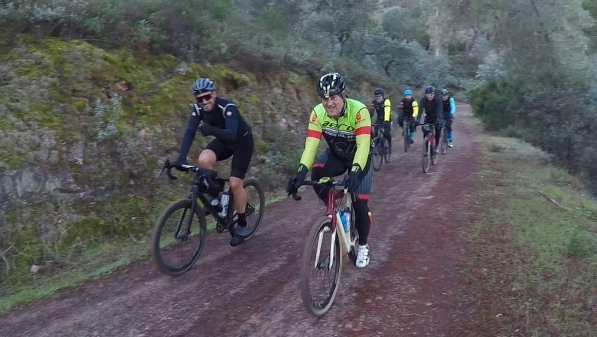 Varios ciclistas, en una prueba por la sierra.