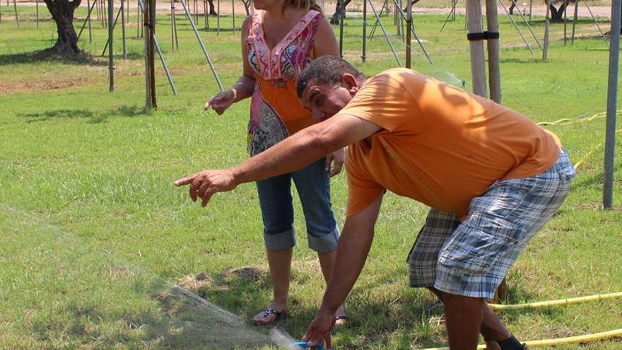 Benicàssim arranca el montaje del FIB con la puesta a punto de los cámpings