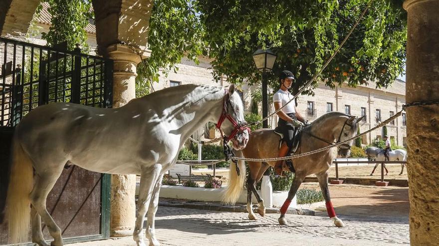 Cabalcor: elemento impulsor del turismo