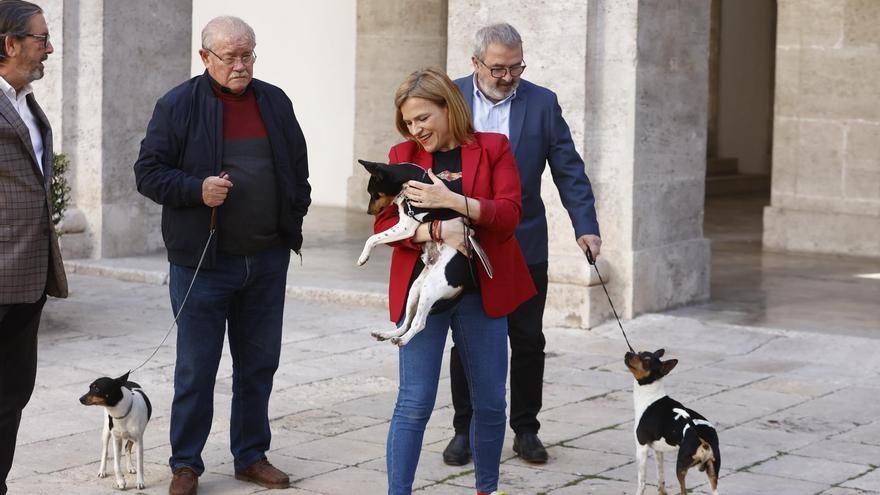 La delegada del Gobierno, Pilar Bernabé, se reúne con el Club Español del Ratonero Valenciano
