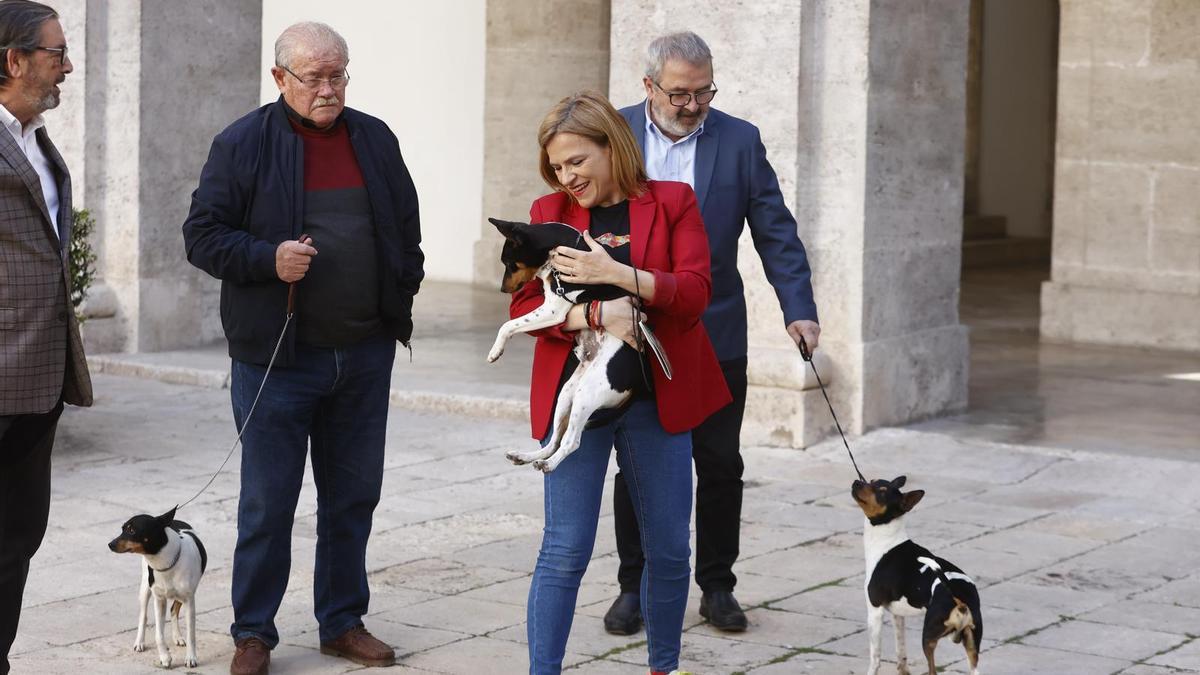 La delegada del Gobierno, Pilar Bernabé, se reúne con el Club Español del Ratonero Valenciano