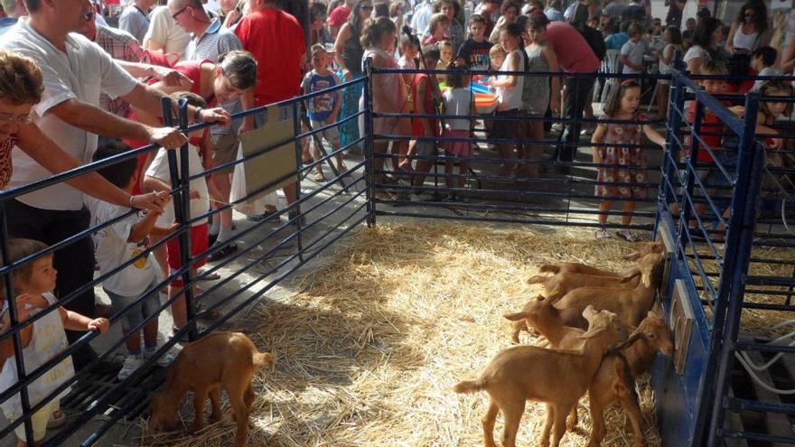 Casabermeja acoge este fin de semana la IX Fiesta de la Cabra Malagueña