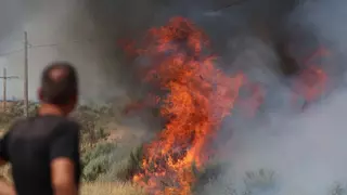 ¿Hay relación entre el cambio climático y los incendios? Esto es lo que dice un experto de la Universidad de Sevilla
