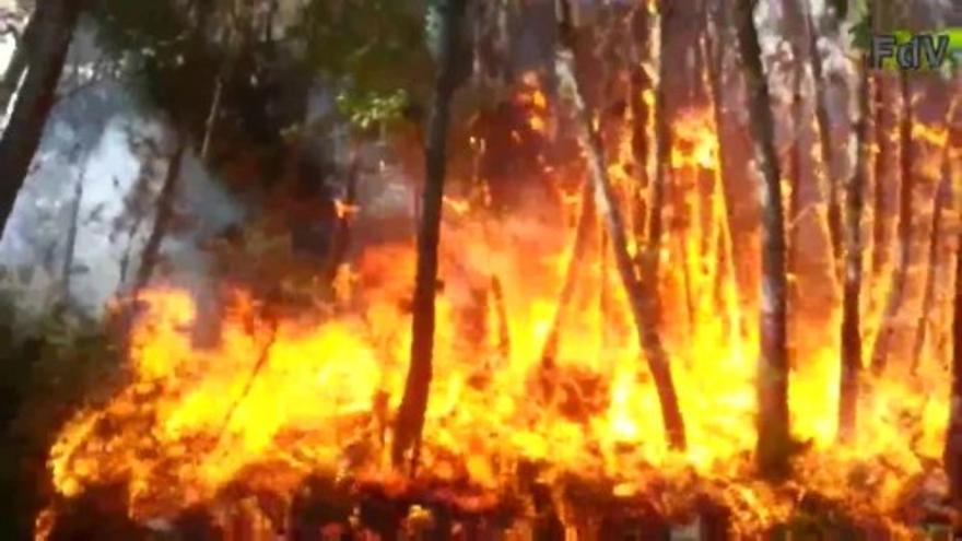 El fuego azota la localidad ourensana de O Irixo