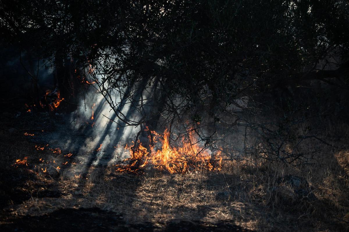 Fotogalería | Las imágenes del incendio de Las Viñas, en Arroyo de la Luz