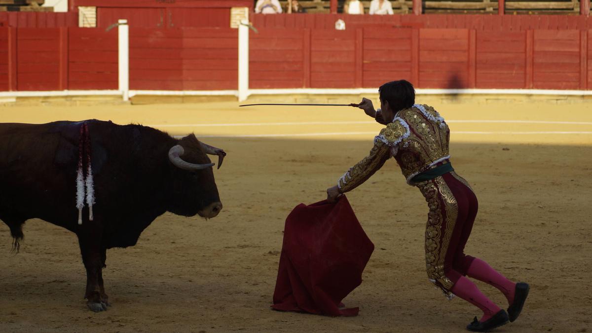Ismael Martín abrió la triple puerta grande de la plaza de toros de Toro junto a sus compañeros de terna, Alejandro Talavante y Tomás Rufo, en un encierro de presencia y juego desigual de El Vellosino