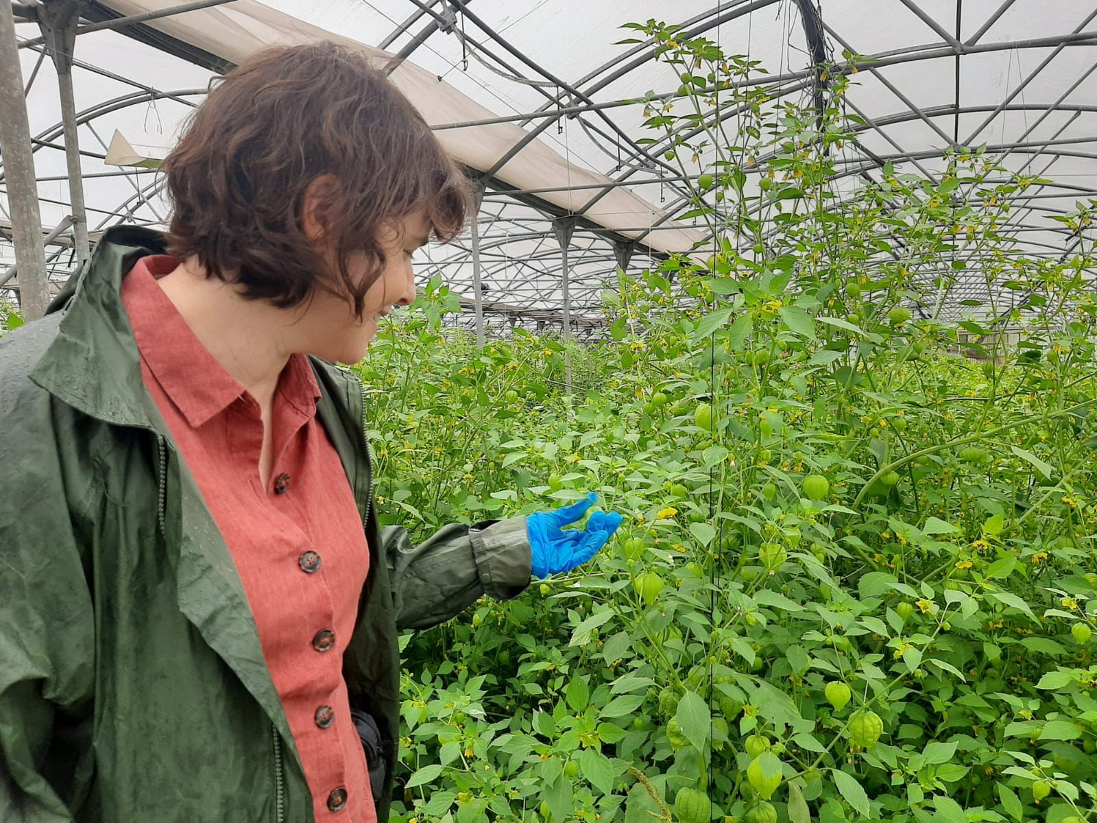 Así es Rural Ecolab, un paraíso de producción ecológica en Llanera