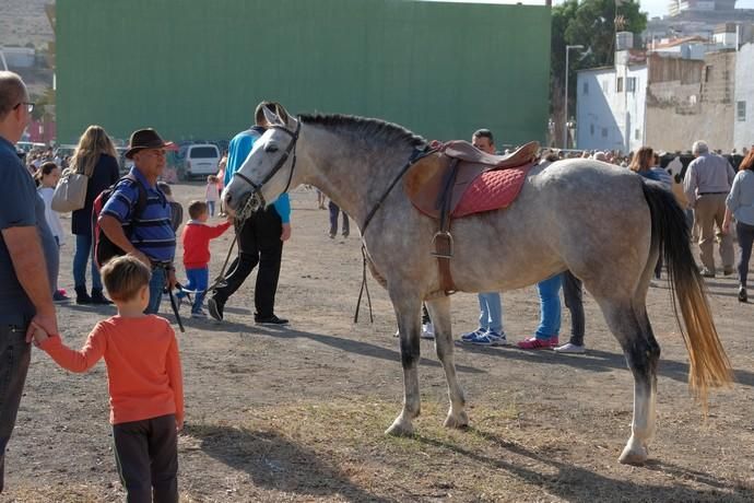 FIESTAS DE JINÁMAR