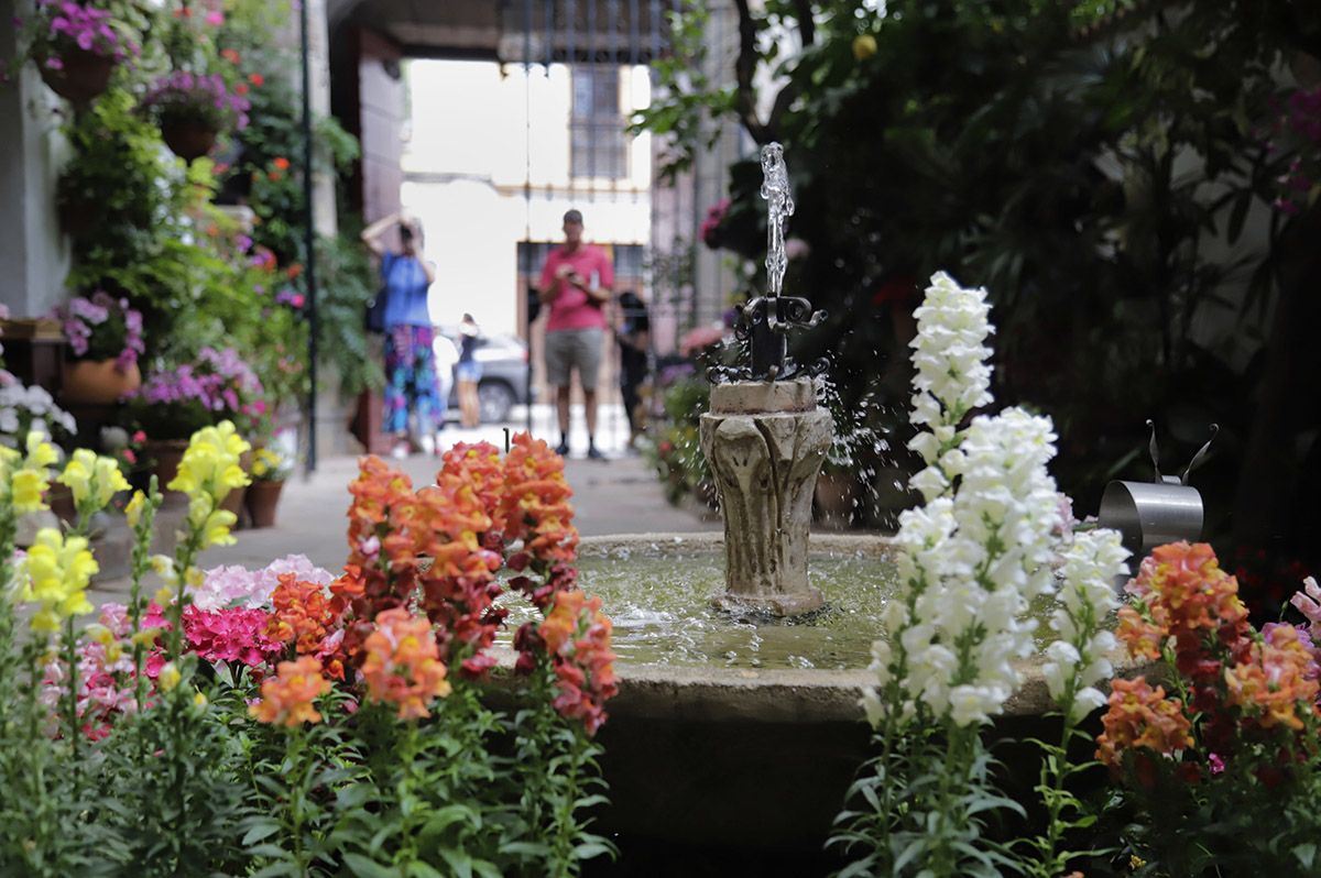 Patio La Palma 3