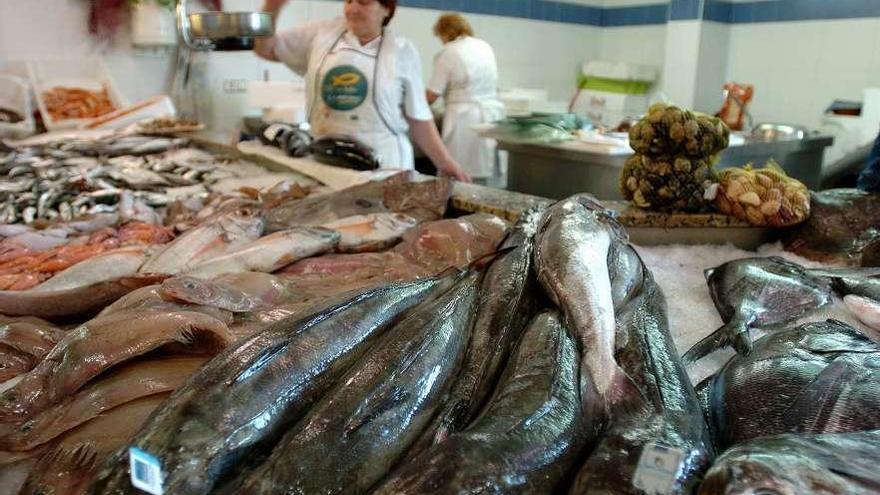 Merluza fresca a la venta en un mercado gallego. de arcos