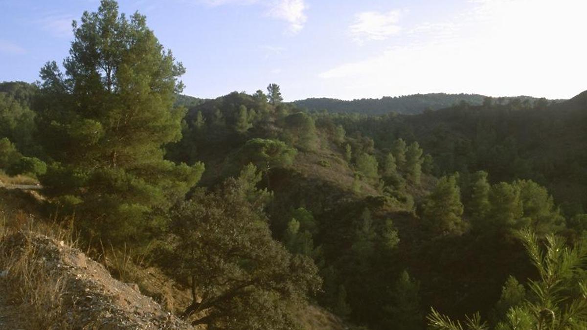 Paraje del Coto Cuadros, lugar al que el sujeto llevó a su víctima hace siete años.