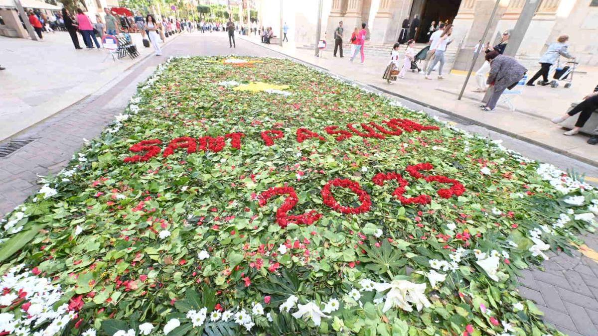 Galería | Procesión de San Pascual
