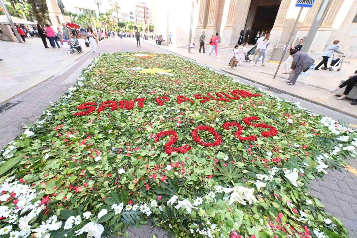 Galería | Procesión de San Pascual