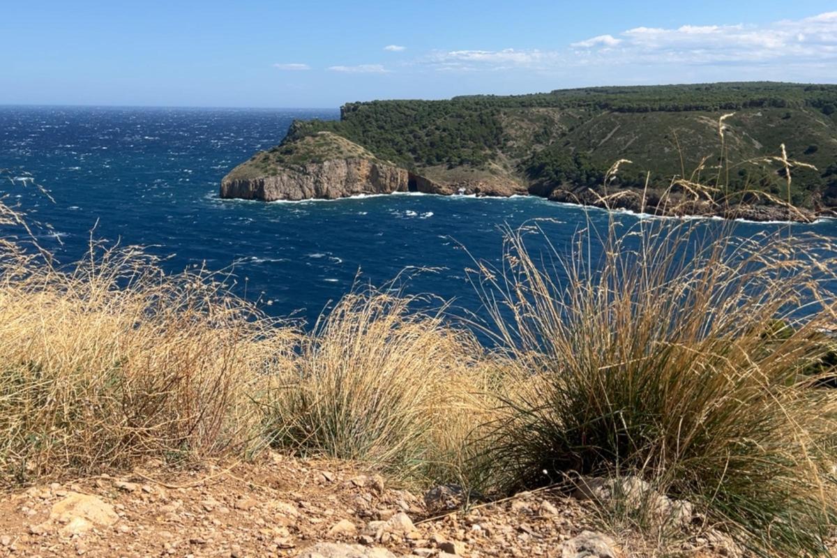 Al fons, Punta Milà, de Torroella de Montgrí
