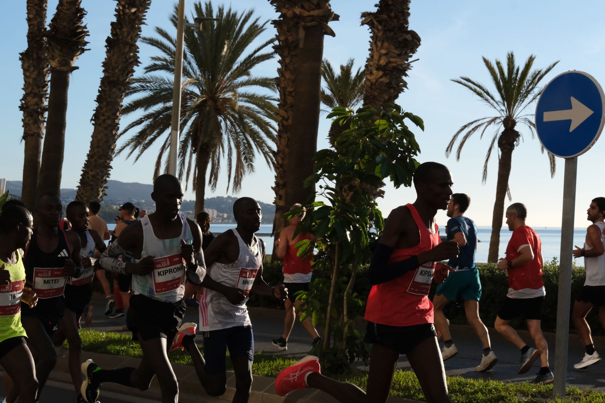 La Maratón de Málaga 2023, en imágenes