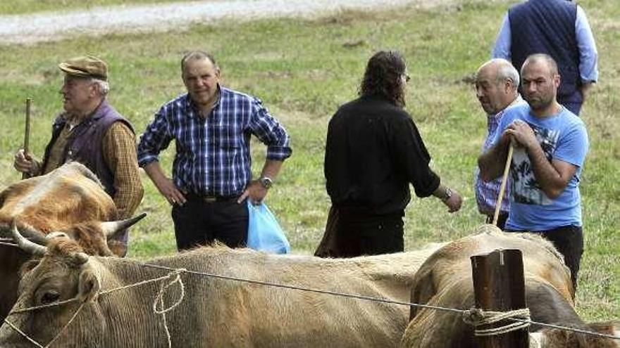 Asistentes a la última feria ganadera de la Ascensión.