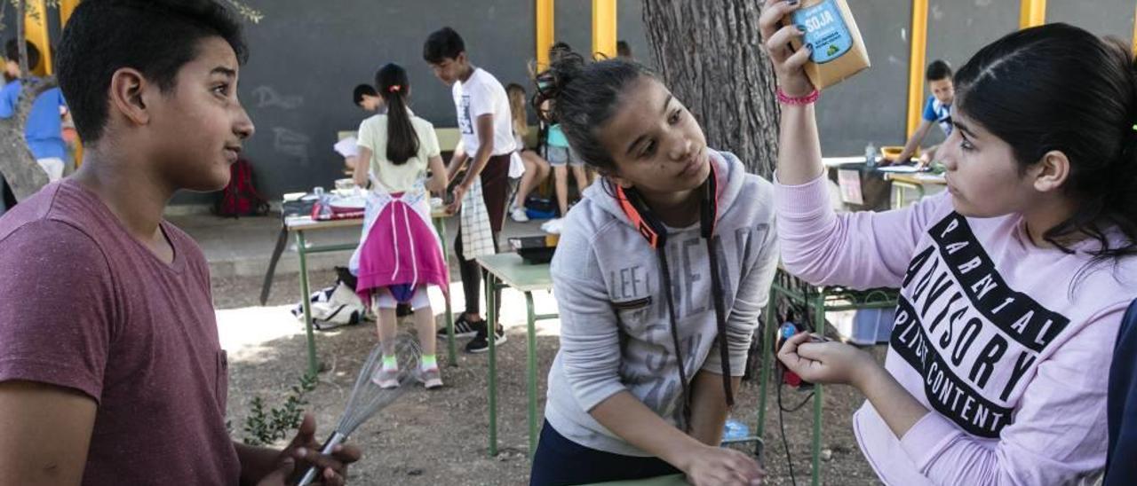 La mayoría de centros dedica  sus horas de libre elección a realizar proyectos y a reforzar tutorías