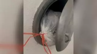 Moscas y malos olores en un edificio de Barcelona