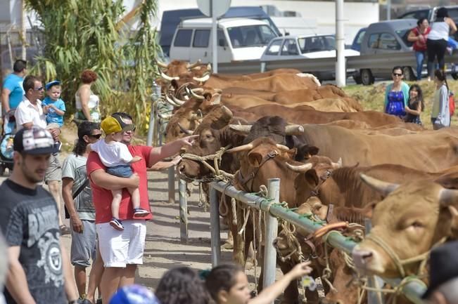 Muestra de ganado y feria de artesanía por las ...